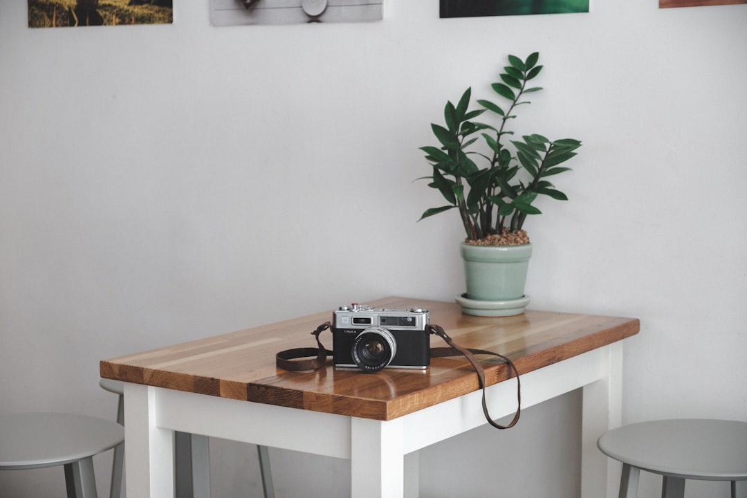 Elevate Your Space: Affordable Home Decor Products That Make a Big Impact Elevate Your Space: Affordable Home Decor Products That Make a Big Impact