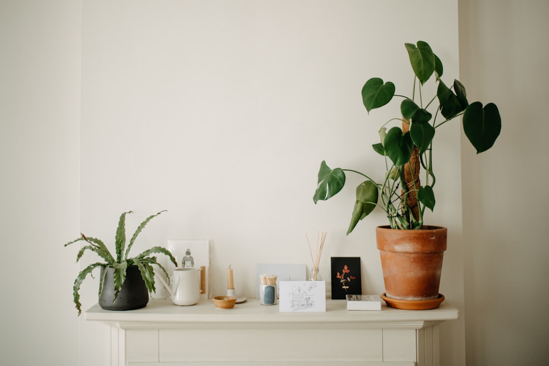 Transforming Your Space: Budget-Friendly Home Decor Products to Elevate Your Style Transforming Your Space: Budget-Friendly Home Decor Products to Elevate Your Style